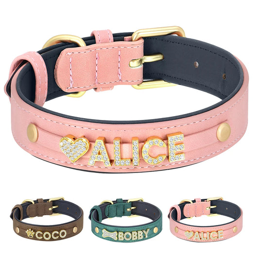 L'identité Animora™ – Plus qu'un nom, son emblème.