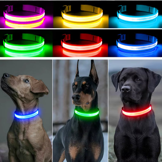 Collier LED Protect™ – Ne quittez plus votre compagnon des yeux (Rechargeable USB-C)