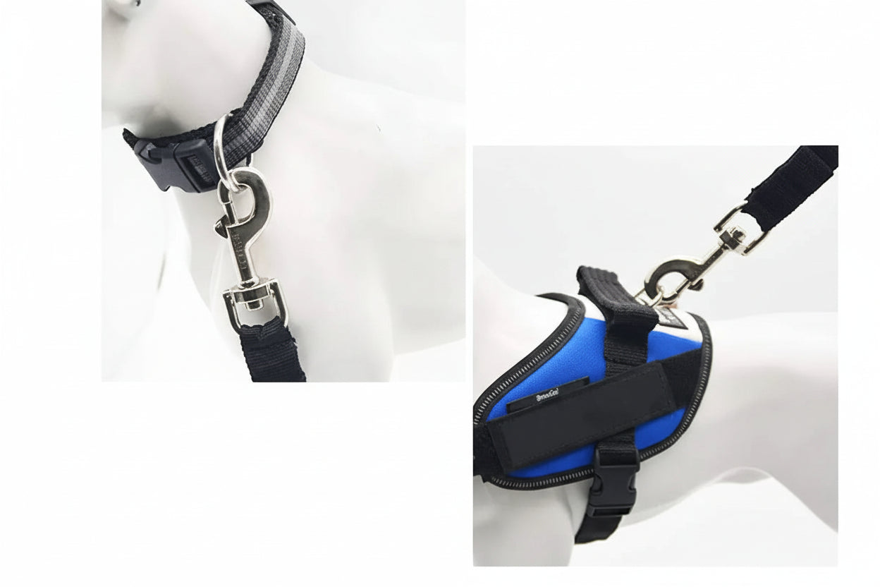 Sécurité Flashy™  – Ne choisissez plus entre style et survie !