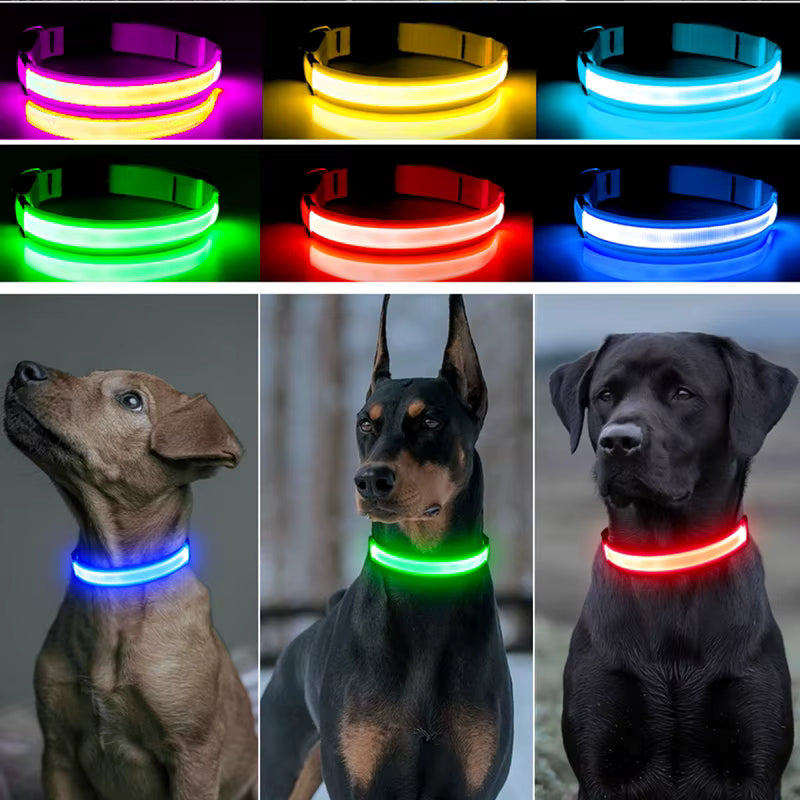 Collier LED Protect™ – Ne quittez plus votre compagnon des yeux (Rechargeable USB-C)