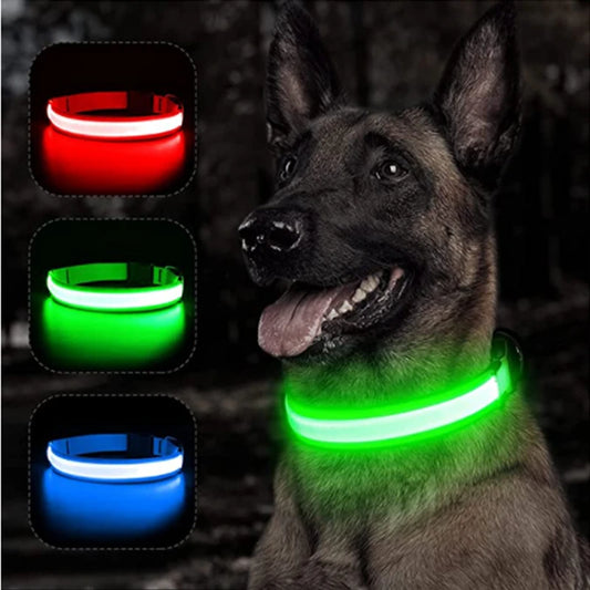 Collier LED Protect™ – Ne quittez plus votre compagnon des yeux (Rechargeable USB-C)