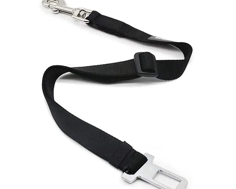 Sécurité Flashy™  – Ne choisissez plus entre style et survie !